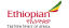 Ethiopian Airlines